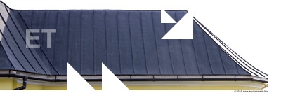 Metal Roofs - Inspiration