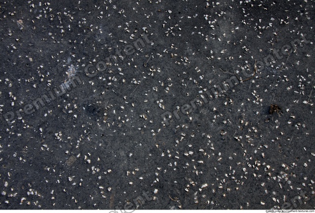 Plain Asphalt