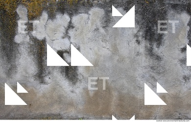 Walls Plaster Damaged