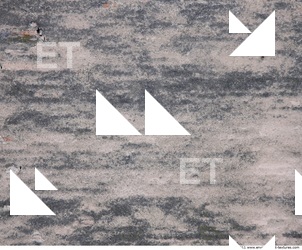 Walls Plaster Damaged