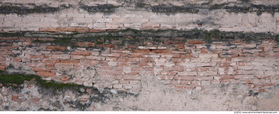 Wall Bricks Plastered