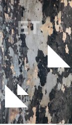 Tree Bark