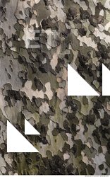 Tree Bark 0033