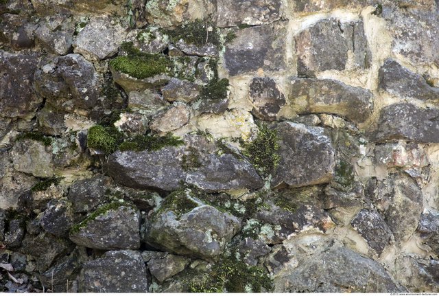 Overgrown Walls Stones