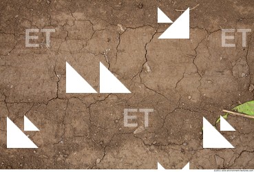 Cracked Soil