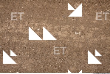 Cracked Soil