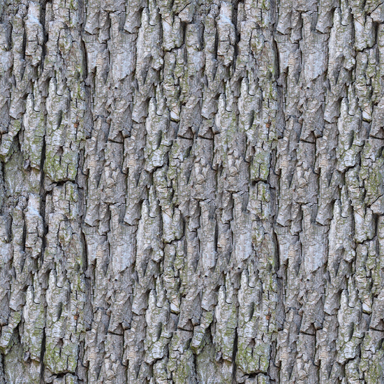 Seamless Tree Bark