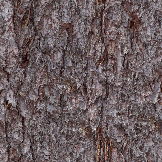 Seamless Tree Bark