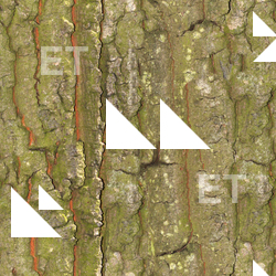 Seamless Bark 0023