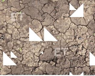 Cracked Soil