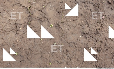 Cracked Soil