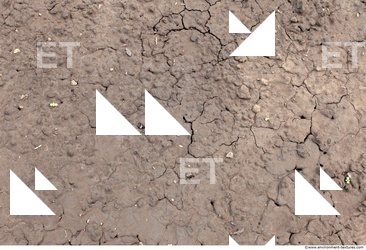 Cracked Soil