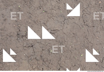 Cracked Soil
