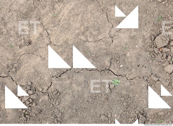Cracked Soil