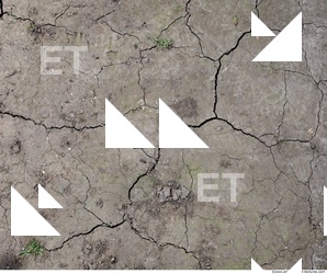 Cracked Soil