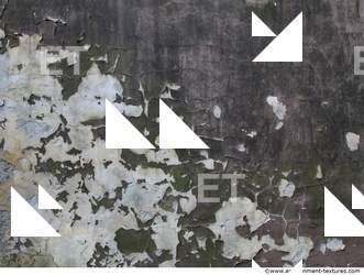 Wall Plaster Paint Peeling