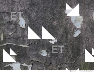 Wall Plaster Paint Peeling