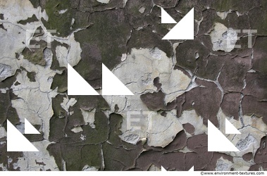 Wall Plaster Paint Peeling