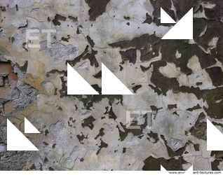 Wall Plaster Paint Peeling