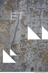 Walls Plaster Damaged 0007