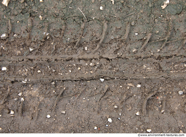 Soil Trace