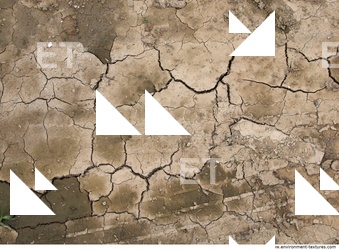 Cracked Soil