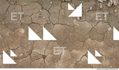 Cracked Soil