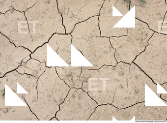 Cracked Soil
