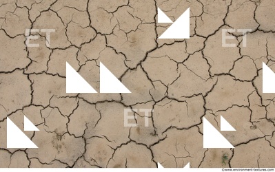 Cracked Soil
