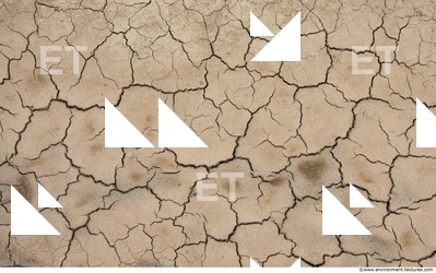 Cracked Soil