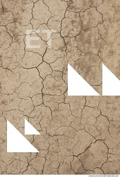 Cracked Soil