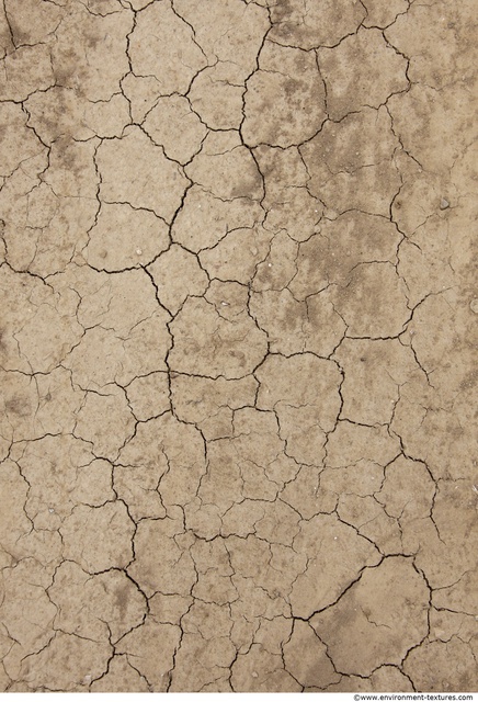 Cracked Soil