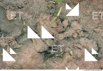Mud Soil