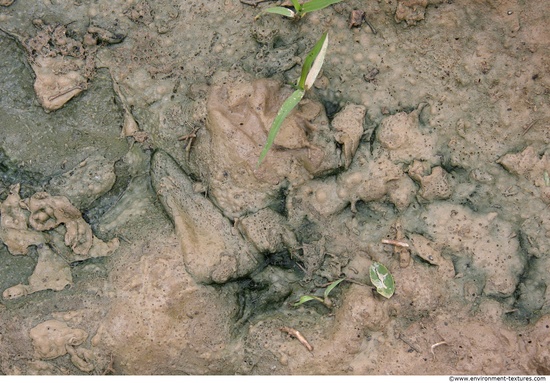 Mud Soil