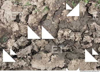 Rough Soil