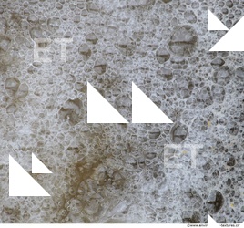 Water Foam 0025