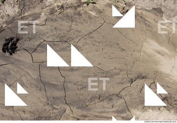 Cracked Soil
