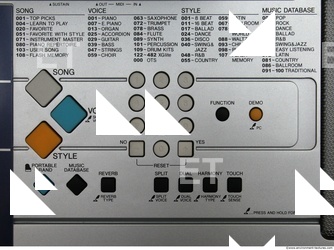 Musical Keyboard 0005