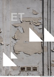 Wall Plaster Paint Peeling