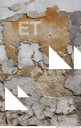 Walls Plaster Damaged