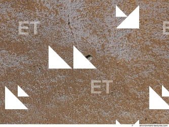 Wall Plaster Painted