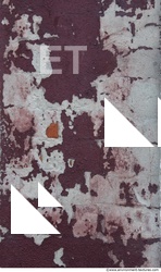 Walls Plaster Damaged