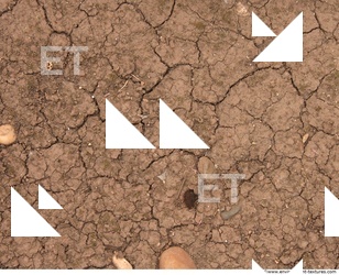 Cracked Soil