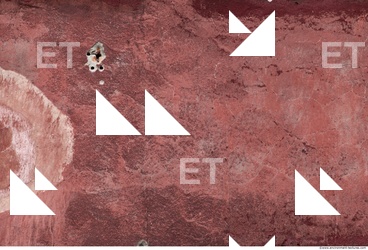 Wall Plaster Painted