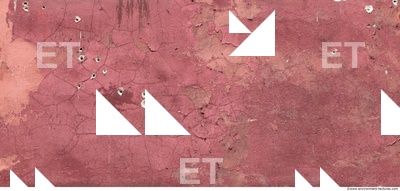 Wall Plaster Painted