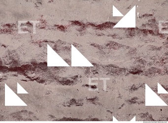 wall plaster painted