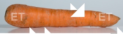 Carrots 0003
