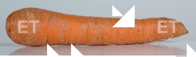 Carrots 0004