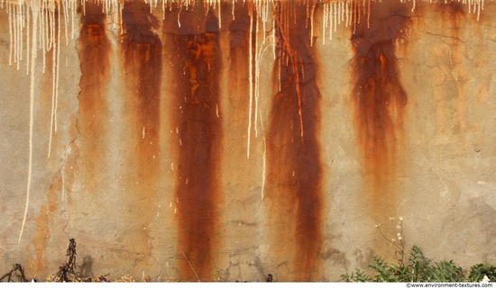 Wall Plaster Leaking