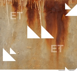 Wall Plaster Leaking